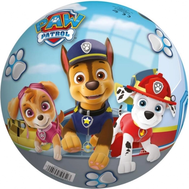 Minge Paw Patrol 23 cm
