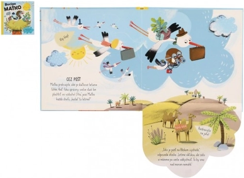 Cartea Coconel Barza - Poveste de vară