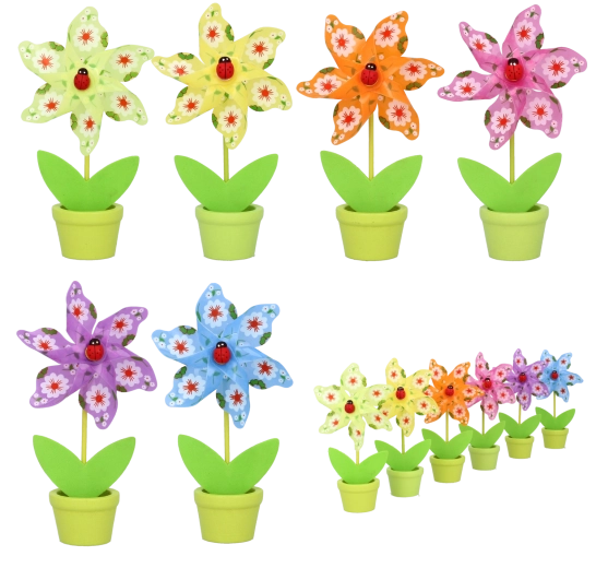 Morisca cu buburuză pentru ghiveci 9 × 15 cm – mix 6 culori