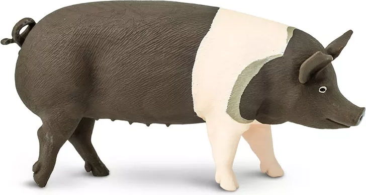 Figurină porc Hampshire Safari Ltd. - 1 bucată