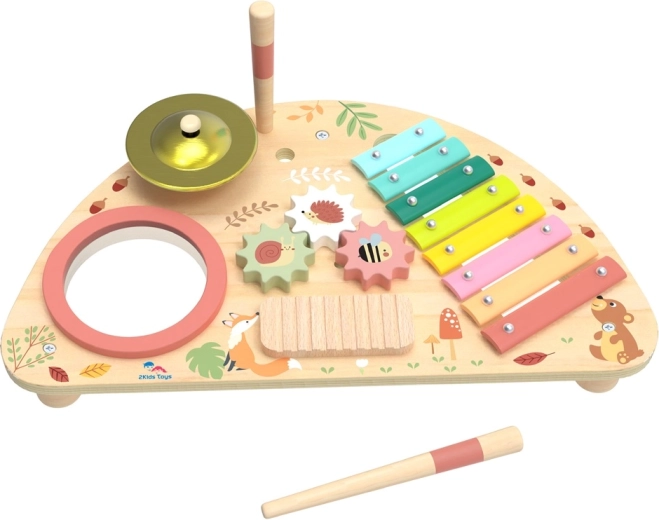Placă muzicală multifuncțională 2Kids Toys