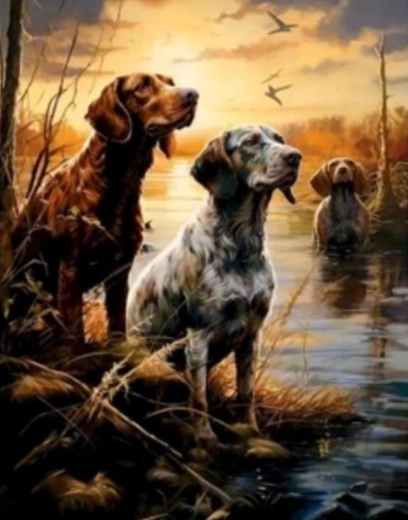 Pictură cu diamante Mlăștini 30 × 40 cm