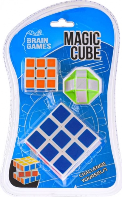 Brain games set de puzzle-uri: cuburi de asamblare și șarpe