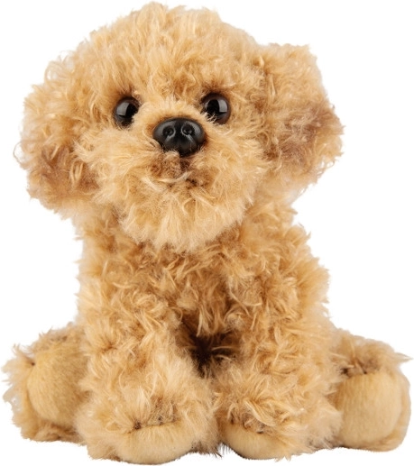 Câine de pluș Labradoodle