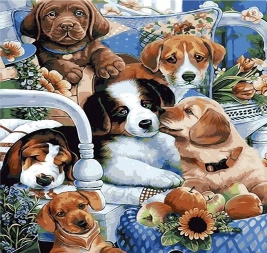 Norimpex Pictură pe numere Cățeluși 40 × 50 cm