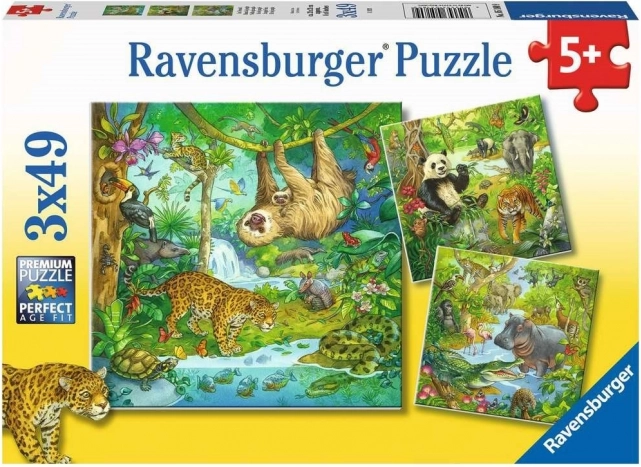 RAVENSBURGER Puzzle Animale în junglă 3x49 piese