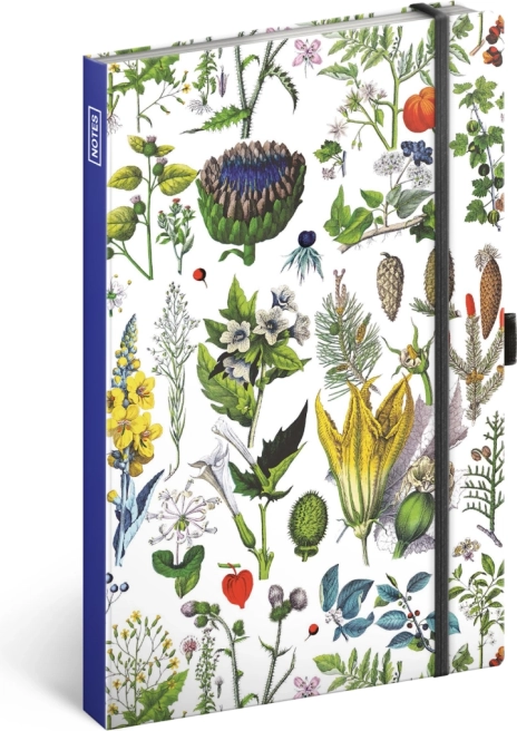 Caiet Biluțe Plantele lui Kateřina Winterová, punctat, 13 × 21 cm