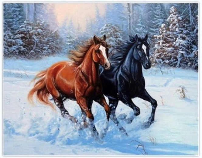 Norimpex pictură cu diamante Cai alergând prin zăpadă 30 × 40 cm