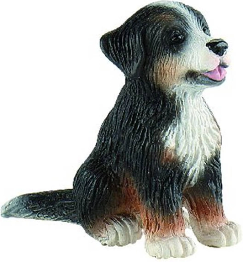 Ce2ine de munte bernez - pui Joy