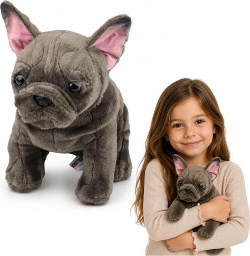 Bulldog francez de pluș 22 cm