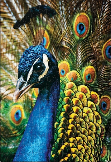 Puzzle Natura Colorată: Păun 250 de piese