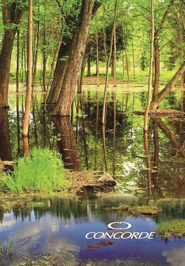 Caiet de însemnări A4, liniatură 8 mm, 200 file