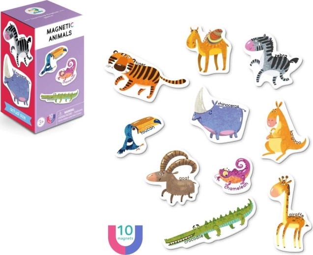 Joc magnetic Animale - DODO