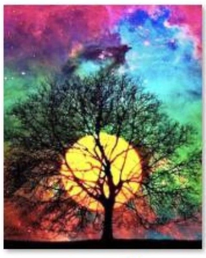 Mozaic cu diamante (diamond painting) Drzewo – cer nocturn 30 × 40 cm