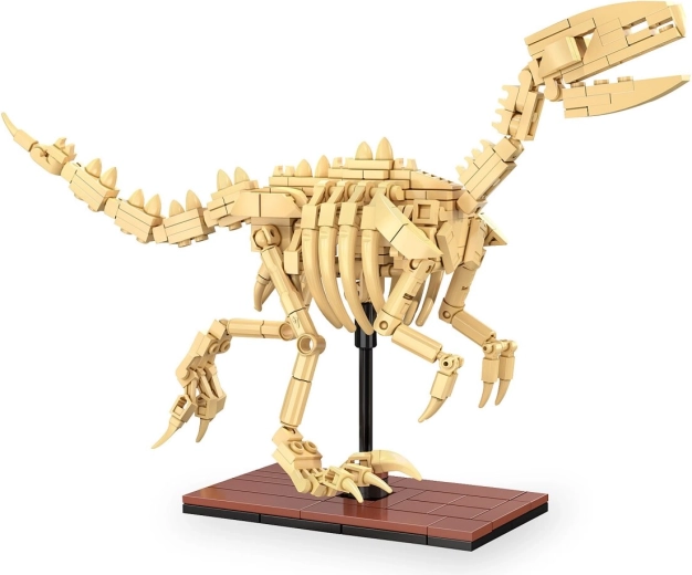 Fosilă de Velociraptor CaDA la scara 1:9 din set de construcție