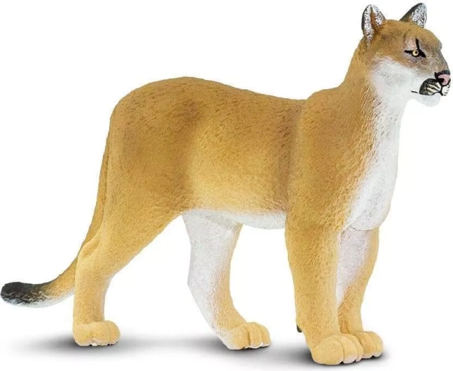 Figurină puma florida Safari Ltd. - 1 bucată