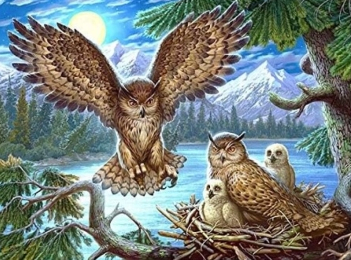 Pictură cu diamante Cuib de bufnițe 30 × 40 cm