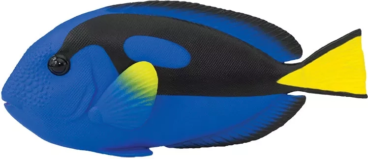 Safari Ltd. figurină pește chirurg albastru - 1 bucată
