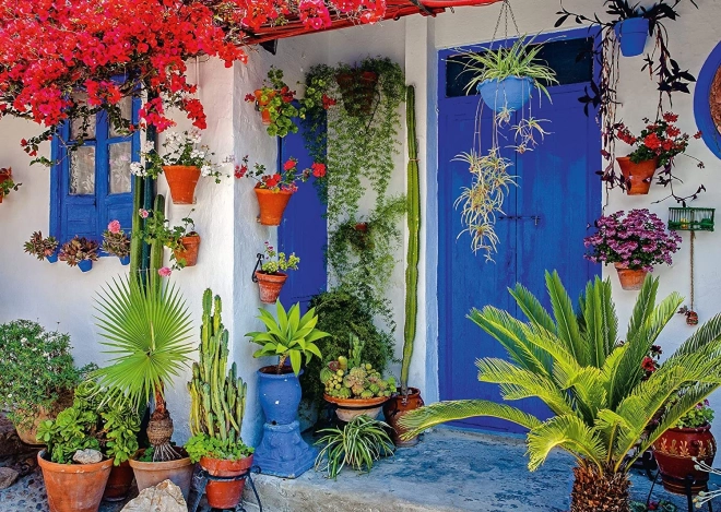 Puzzle Schmidt Uși mediteraneene 1000 piese