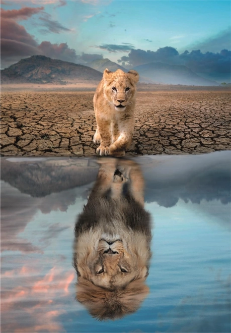 Puzzle 300 piese – Auto-reflecție