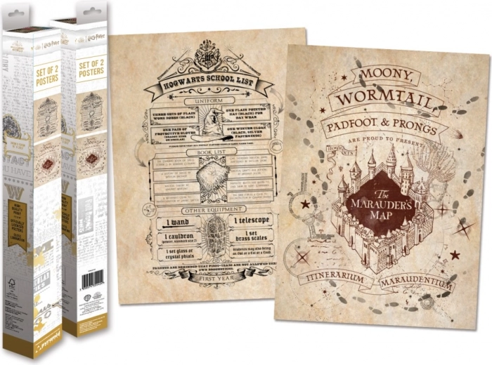 Set Harry Potter mini postere (2 buc)