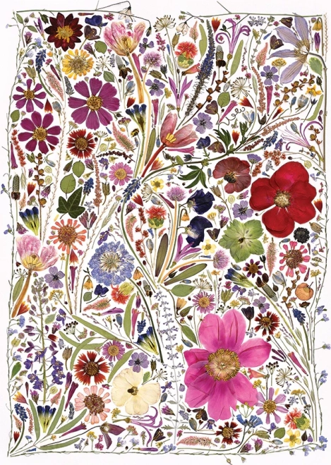 Puzzle Flori Presate Primăvară 1000 Piese de la Cobble Hill