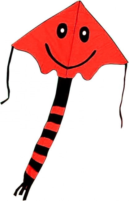 Zmeu zburător cu zâmbet 80 × 60 cm