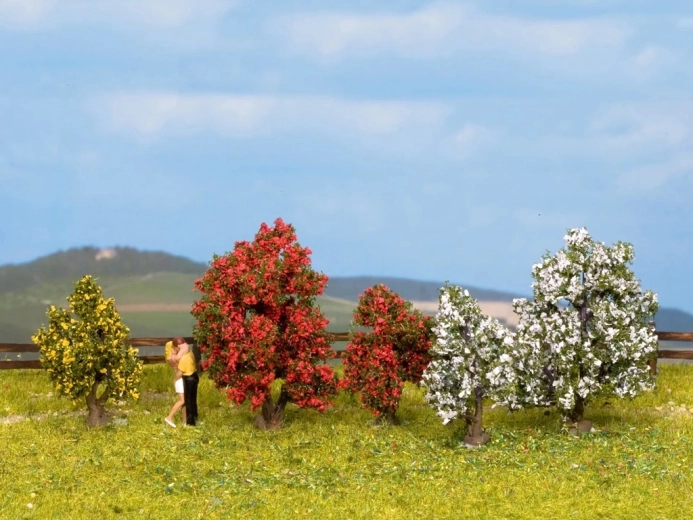 Arbuști ornamentali înfloriți Noch Classic, set 5 buc.