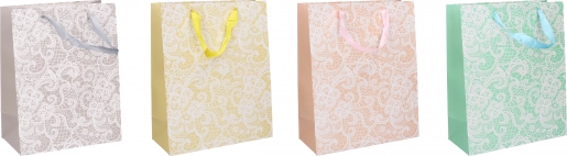 Pungă cadou 18x23x10 cm