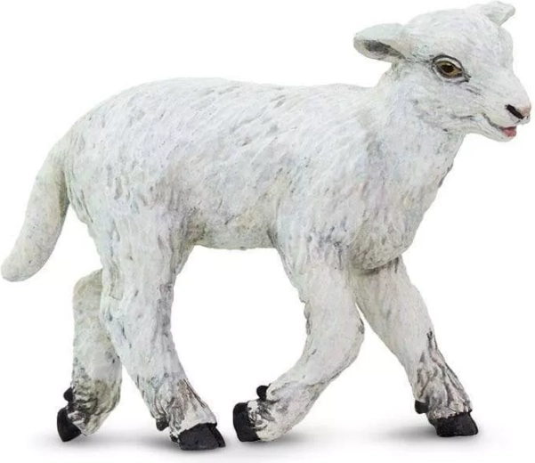 Safari Ltd. figurină de oaie domestică - 1 bucată