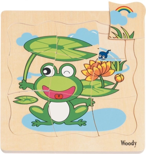 Puzzle stratificat Viața unei broaște
