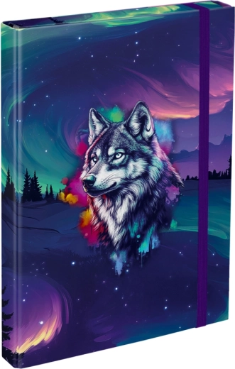 Mape pentru caiete A4 Baagl Aurora