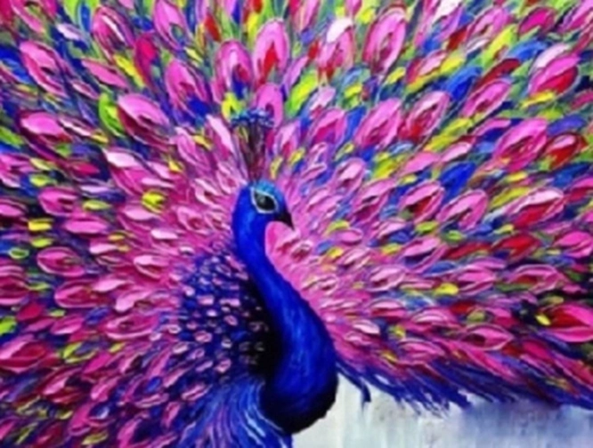 Norimpex Pictură pe numere cu păun cu coadă roz 40 × 50 cm