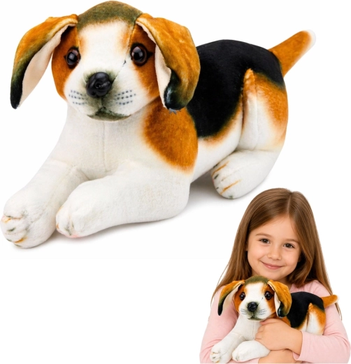 Cățeluș beagle de pluș 25 cm