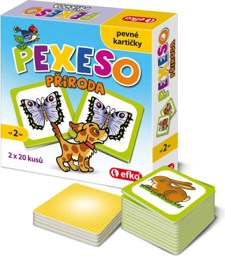 Efko baby pexeso mijloace de transport