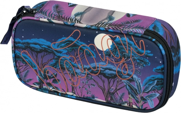 Penar Baagl Skate Night