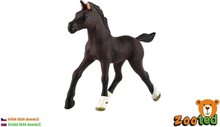 Mânz de cal domestic – figurină din plastic 11 cm - 1 bucată