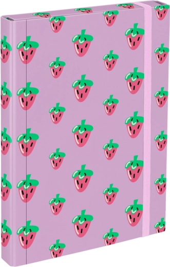 Mape pentru caiete A4 Lavender Baagl