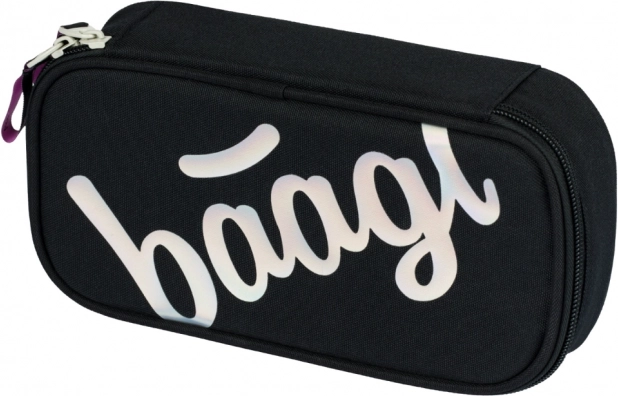 Penar școlar etui metallic holo