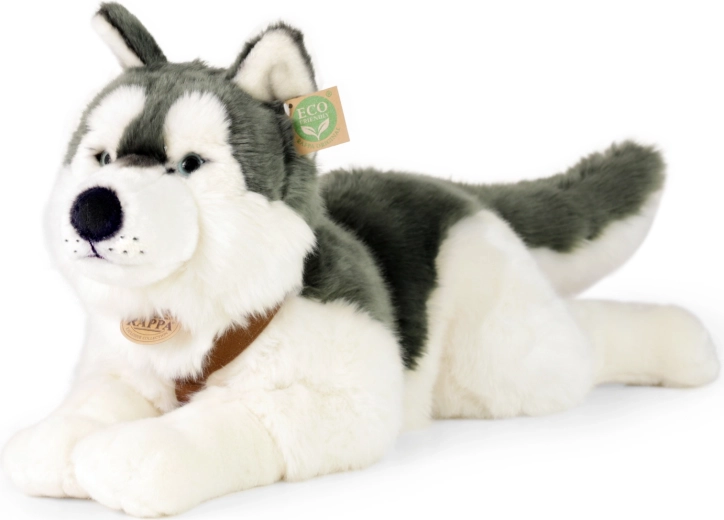 Câine husky de pluș 60 cm ECO FRIENDLY 
