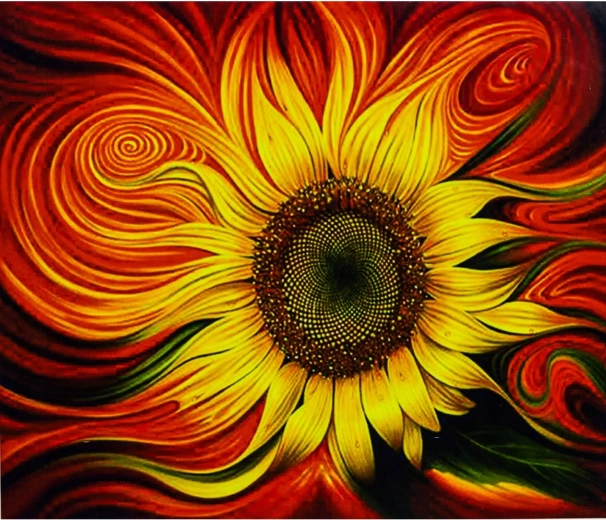 Norimpex pictură după numere Floarea-soarelui 40 × 50 cm