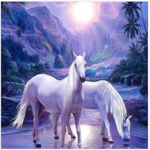Pictură pe numere Doi cai albi 40 × 50 cm