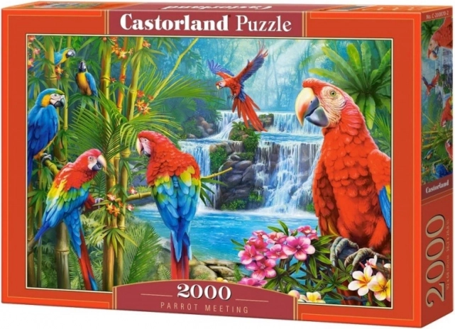 Puzzle 2000 piese Parrot Meeting