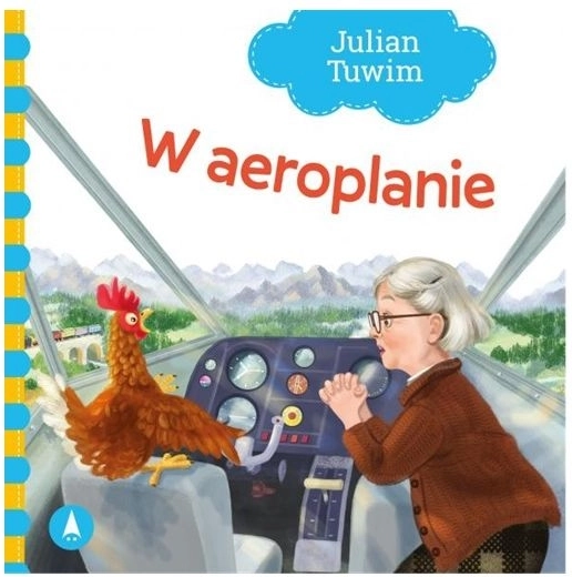 În avion