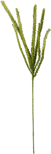 Iarbă decorativă 107 cm verde