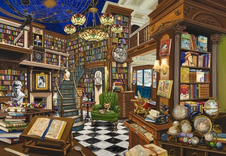 BLUEBIRD puzzle Vânzătorul de cărți rare 1000 piese