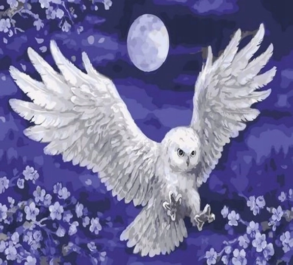 Norimpex pictură pe numere Bufniță și lună 40 × 50 cm