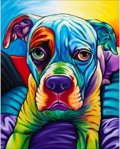 Tablou de pictat după numere pe ramă 40 × 50 cm buldog – câine colorat
