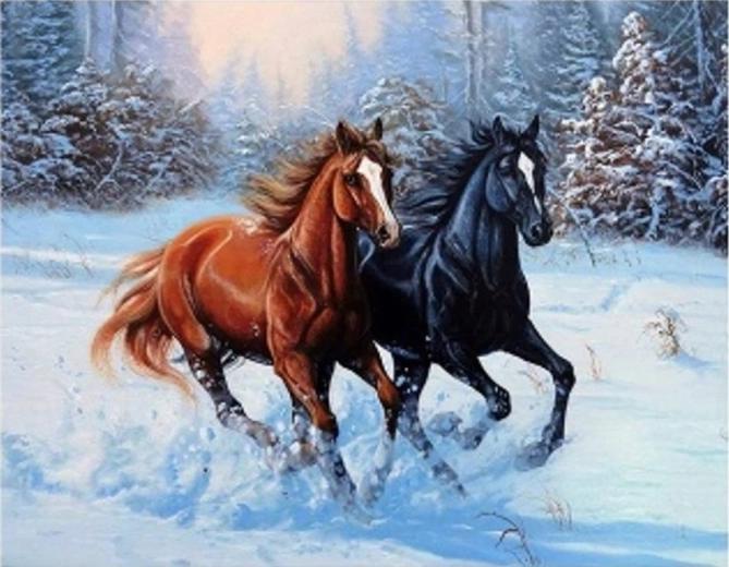 Pictură pe numere – cai galopând prin zăpadă, 40 × 50 cm