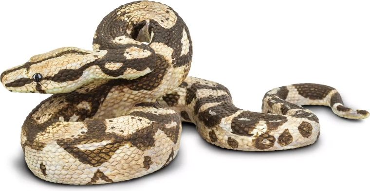Boa constrictor Safari Ltd. - 1 bucată